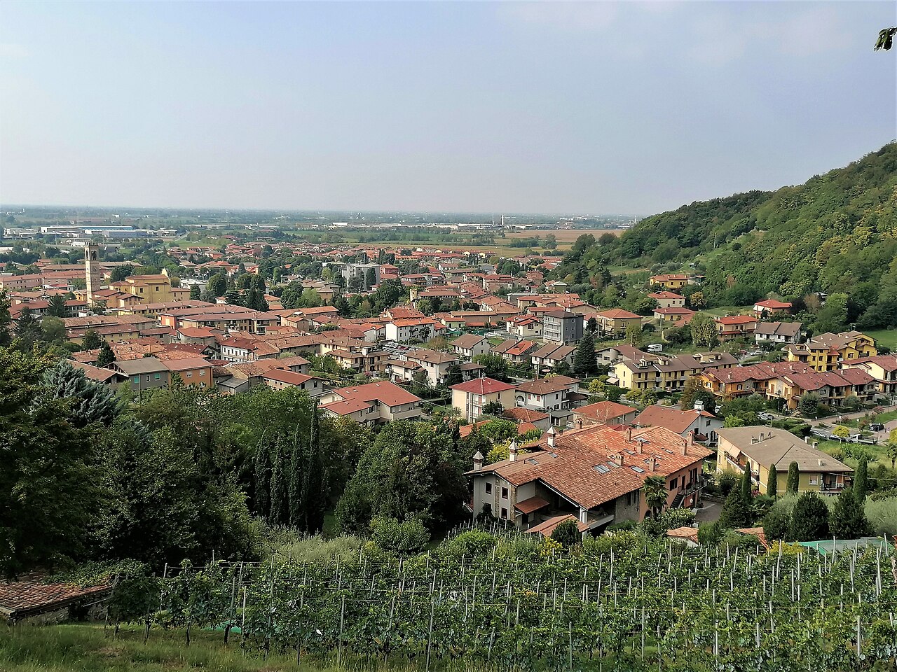 Bagnatica