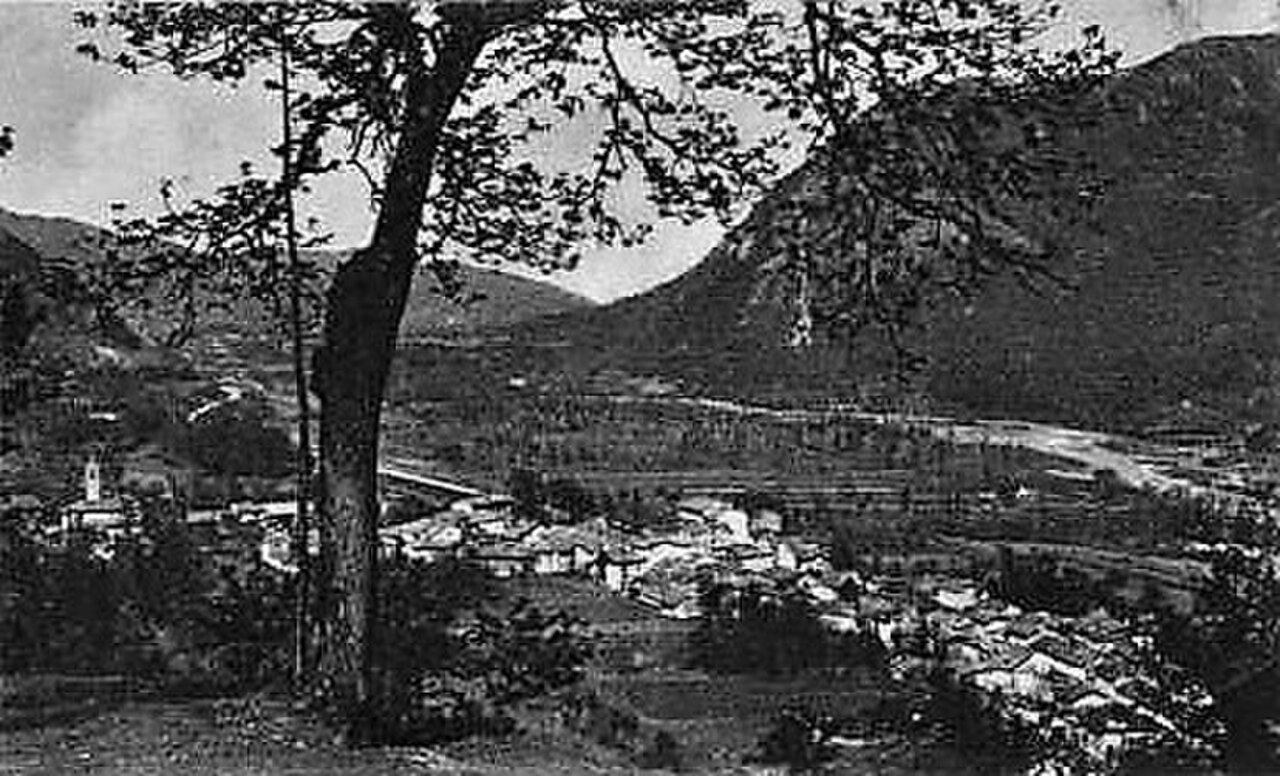 Moiola