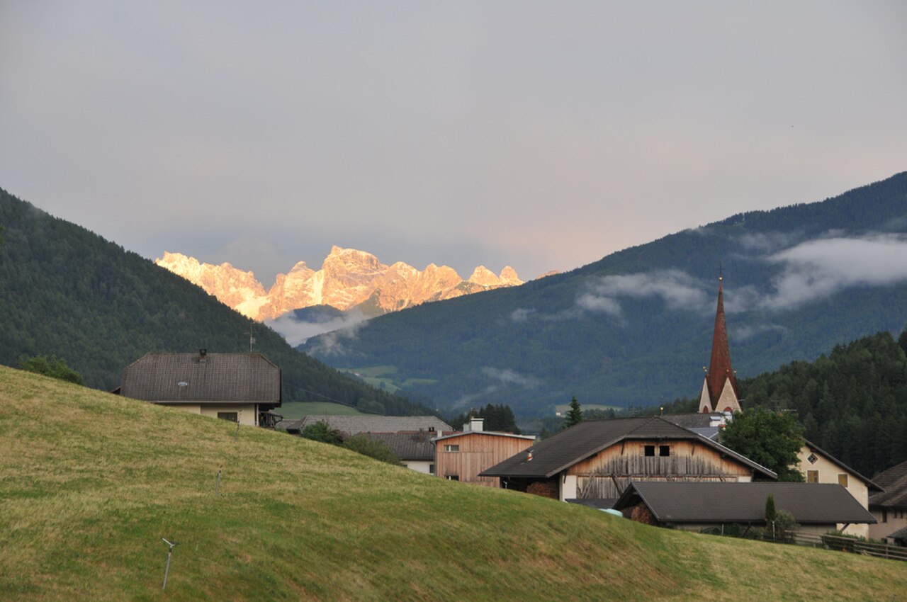 Perca